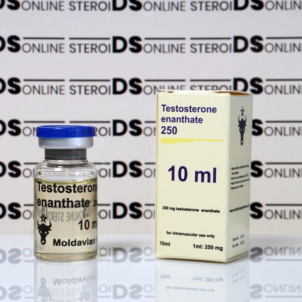 Testosterone enanthate 250 mg Moldavian Pharma