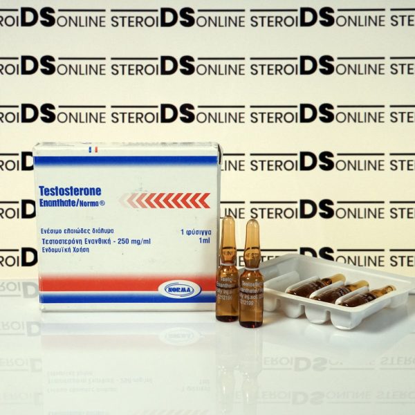 Testosterone Enanthate 250 mg Norma Hellas