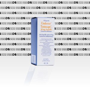 Undestor Original 40 mg Organon