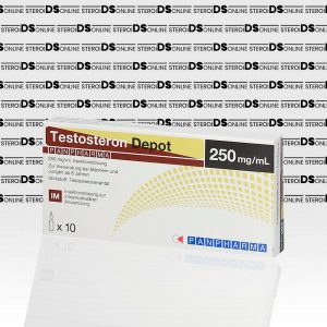Testosteron Depot 250 mg Panpharma