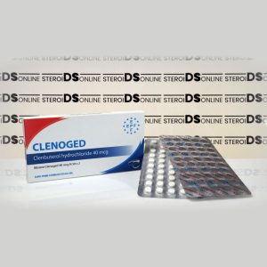 Clenoged 0,04 mg Euro Prime Farmaceuticals
