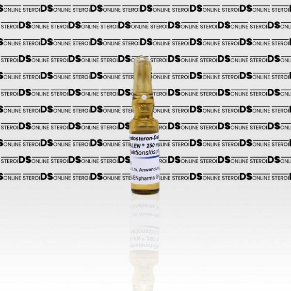Testosteron-Depot 250 mg Galen - Image 2