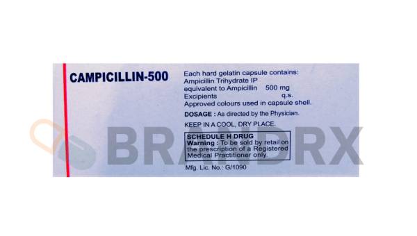Campicillin 500 mg Cadila Pharmaceuticals Ltd. - Image 2