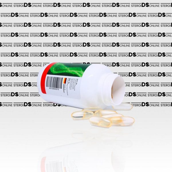 CLA+ (60 capsules) Elbrus Pharmaceuticals - Image 3
