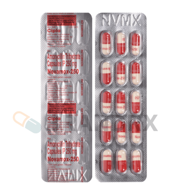 Novamox 250 mg Cipla - Image 3